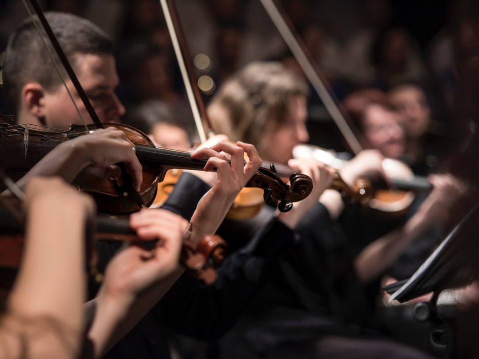 Violin players