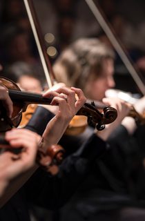Violin players