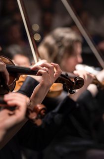 Violinists performing