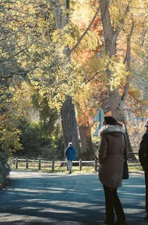 People walking in a park with trees