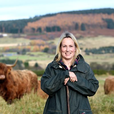 Aberdeenshire Highland Beef Pop Up Butchery