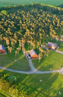 Aerial Small