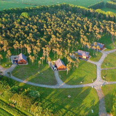 Aerial Small