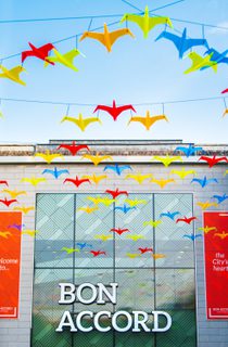 Bon Accord Birds Stairs 2019 1 16