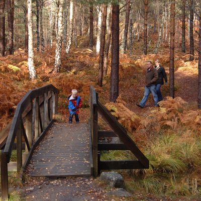 Cambus o May Forestry Commission2