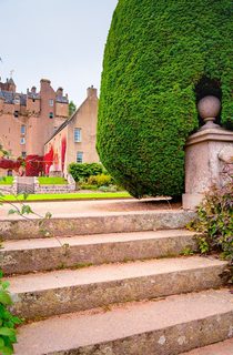 Crathes Castle Gardens 151 DS 113 low res10