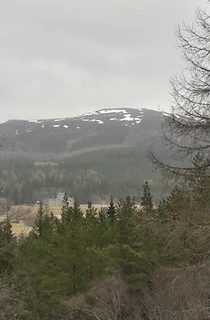 Creag Choinnich Braemar 1