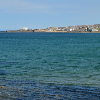 DSC 154