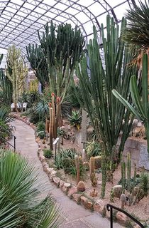 David Welch Winter Gardens 7 01 low res