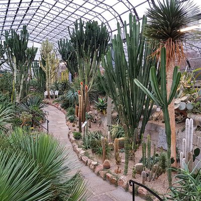 David Welch Winter Gardens 7 01 low res