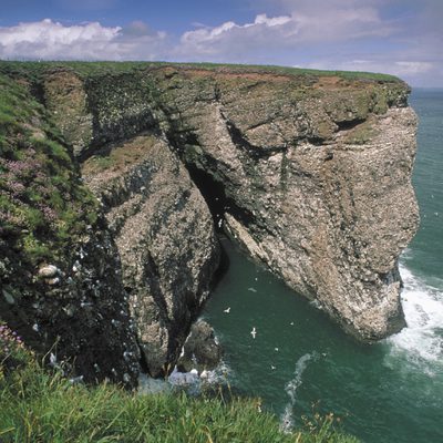 FHH Andy Hay RSPB Images2