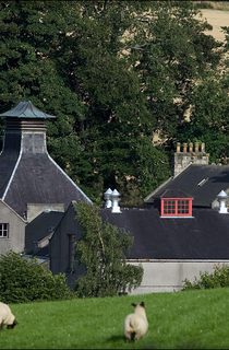 GLENDRONACH summer01