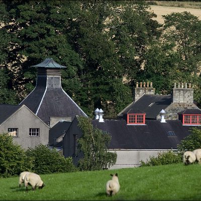 GLENDRONACH summer01