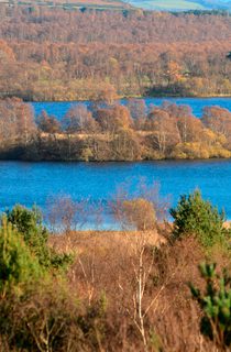 Muir of Dinnet NNR looking over the lochs