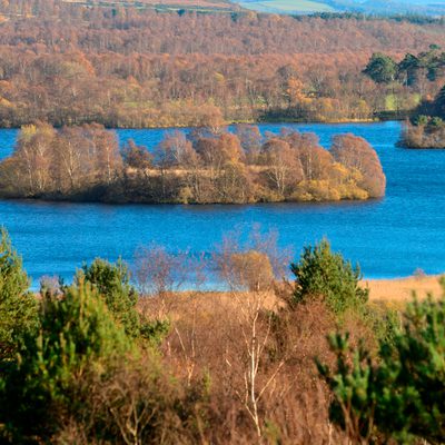 Muir of Dinnet NNR looking over the lochs