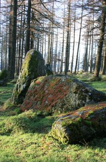 Nine Stanes Landscape