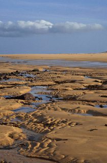 Rattray Head Buchan Coast ONLY TO BE USED BY VA DO NOT SHARE