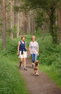Scolty Forest Forestry Commission