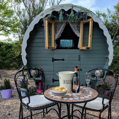 The Lily Pod Cruden Bay 1