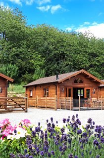 Three Cabins