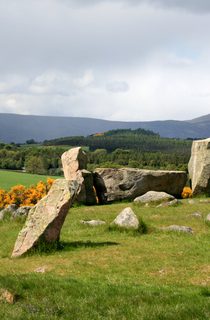 Tomnaverie Landscape2
