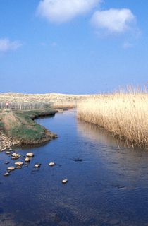 Waters of Philorth