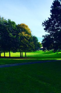 Bon accrod terrace gardens AC2
