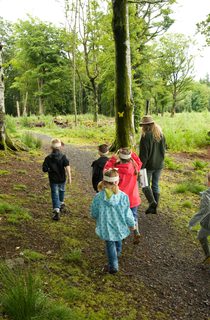 Foggieton Forestry Commission