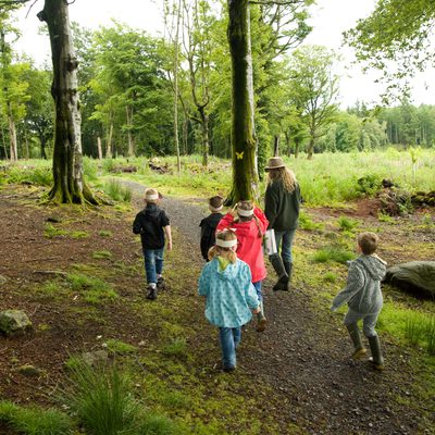 Foggieton Forestry Commission