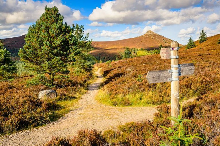 Bennachie 135 DS 12 low res