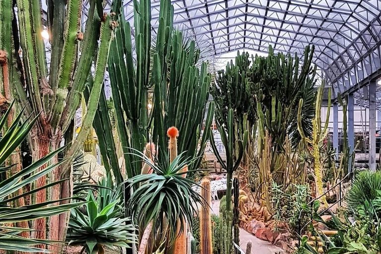 David Welch Winter Gardens is the perfect place to visit come rain or shine for a tropical escap