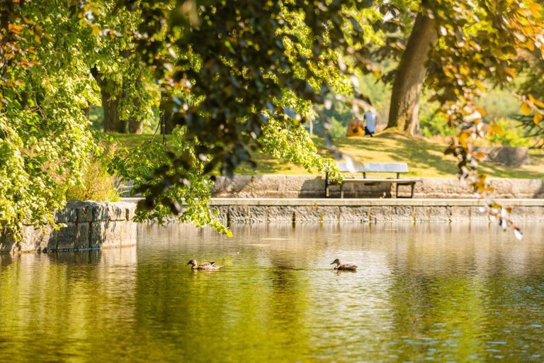 Duthie Park 41
