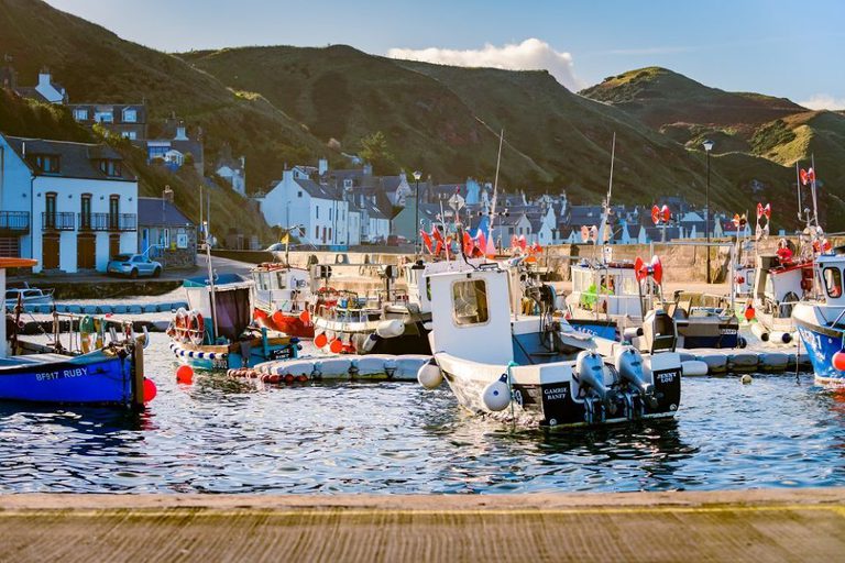 Gardenstown 178 DS 93 low res