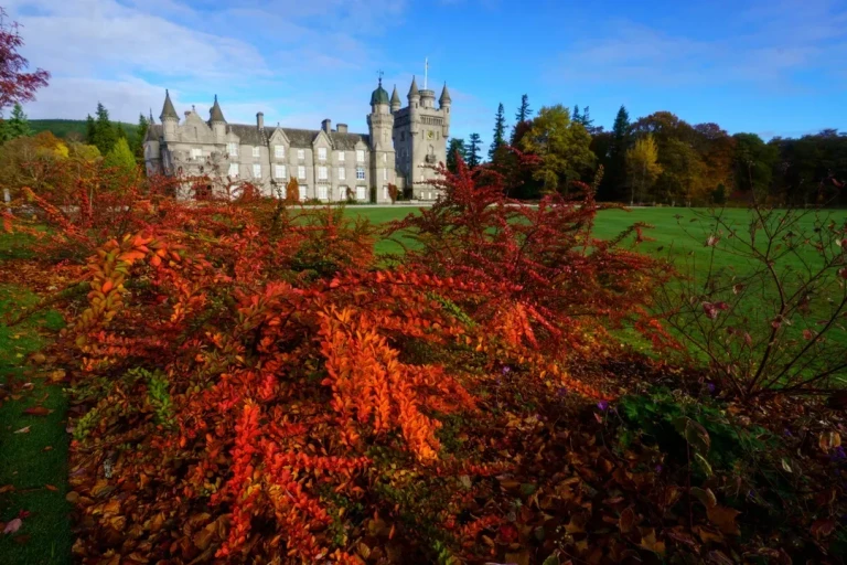 Theres a certain hush that falls over Royal Deeside when autumn drifts in The air sharpens t