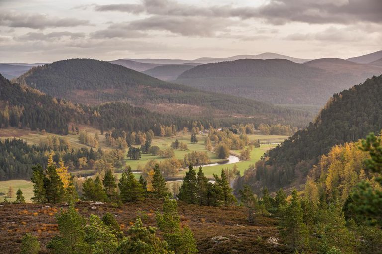 Cairngorms