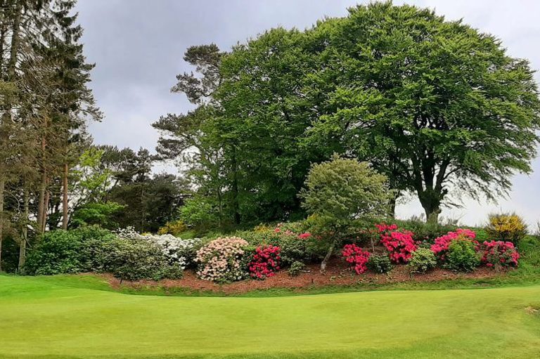 Kemnay golf club